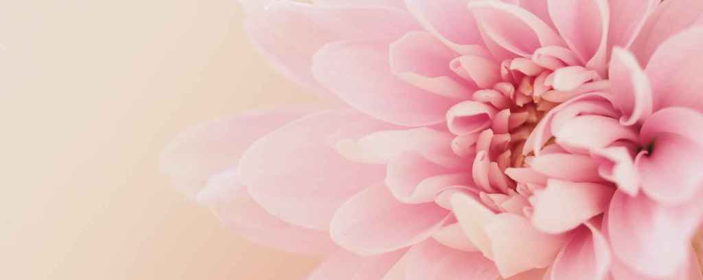 En Paz con lo que&nbsp;Eres…